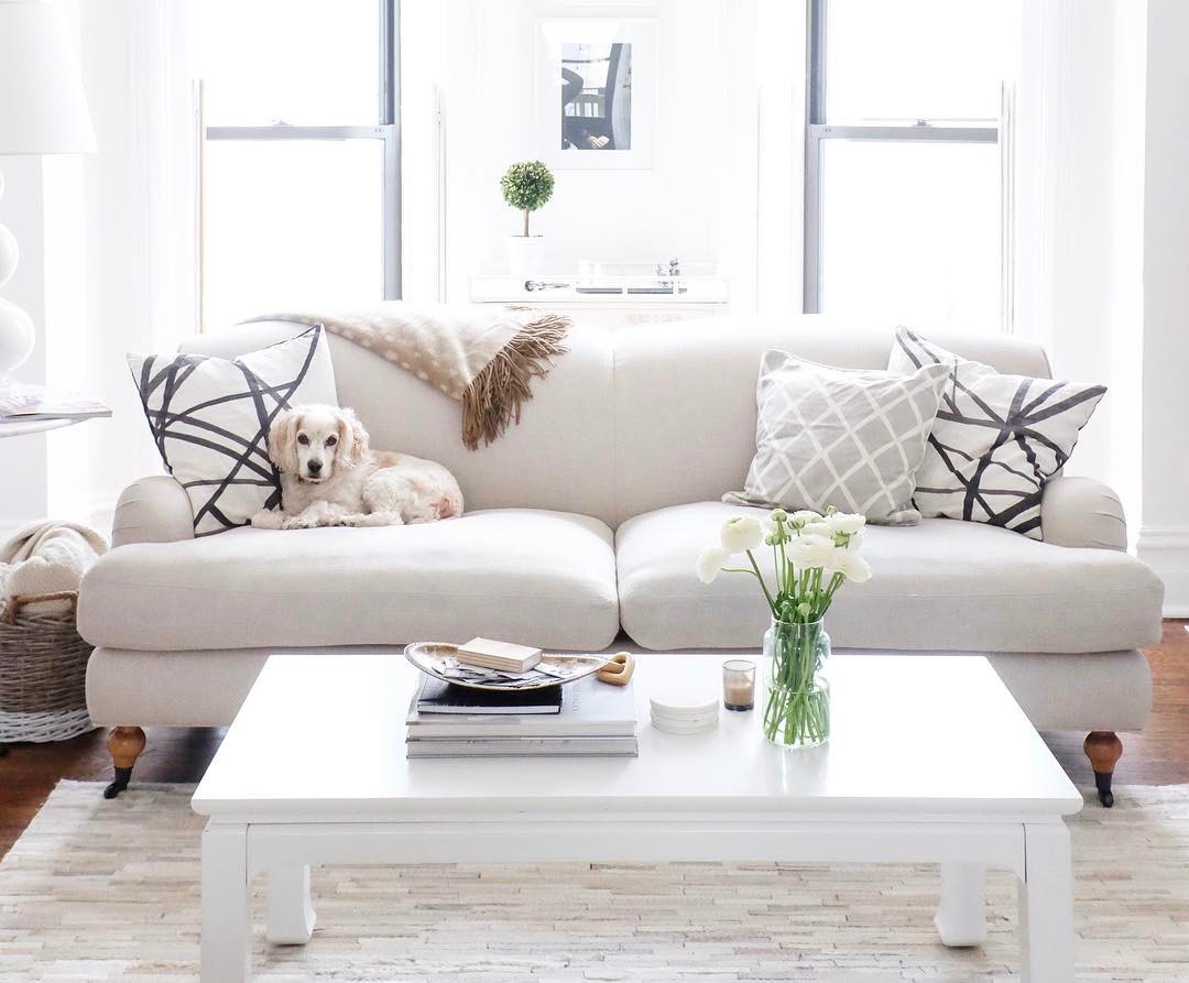 The Best Pet Friendly Sofas The Everygirl