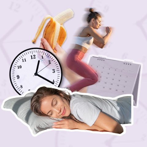 what happens to your body during your cycle