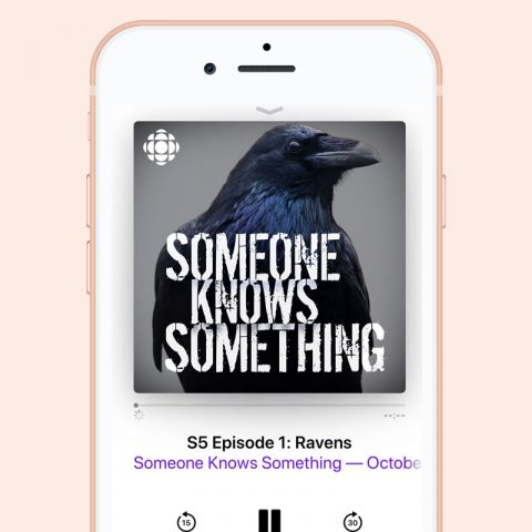 podcast recommendations