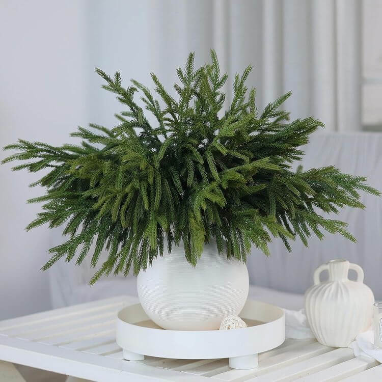 Artificial Norfolk Pine Branches