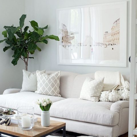 decorate a blank wall