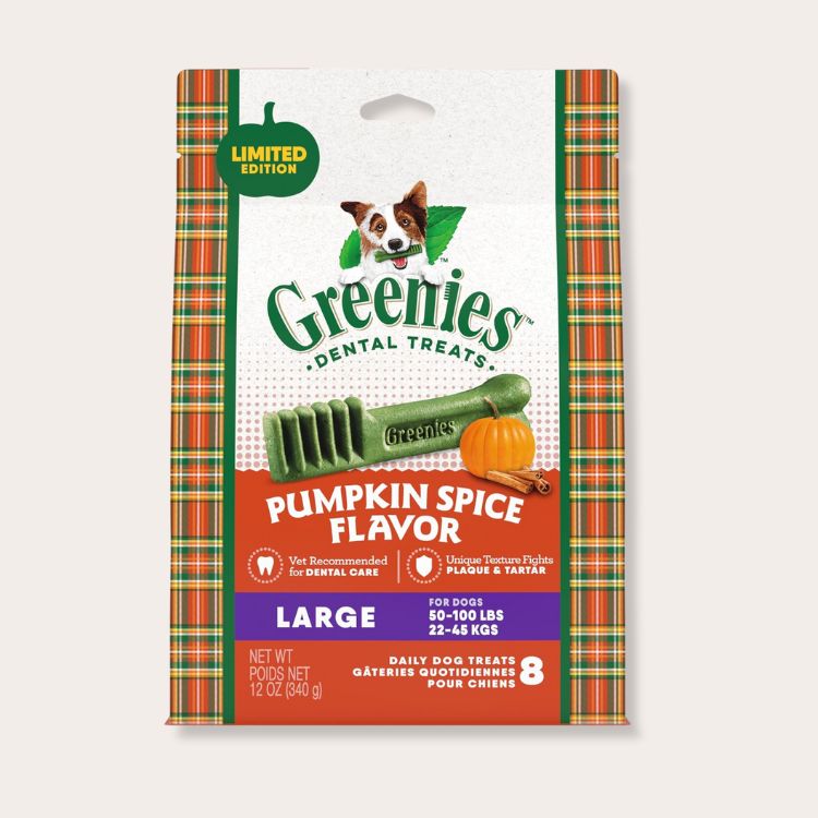 Pumpkin Spice Dental Dog Chews