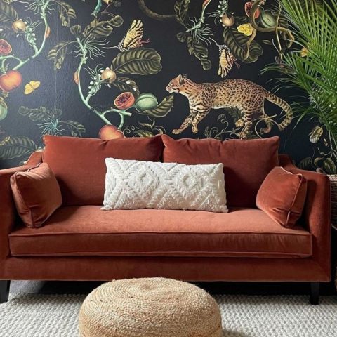 decorate with color
