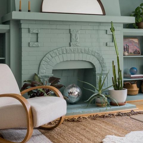 how to choose a houseplant