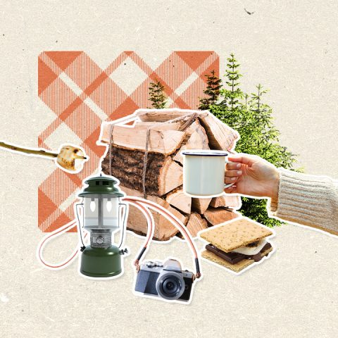camping equipment, firewood, trees