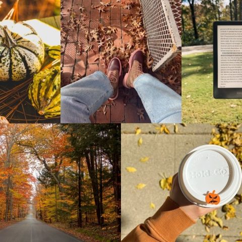 fall bucket list