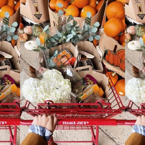 trader joe's fall items