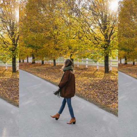 when do leaves change