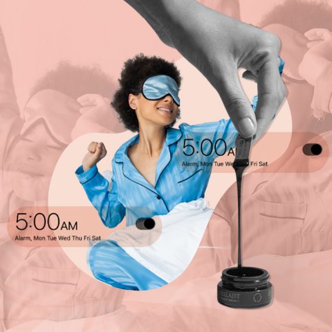shilajit supplement morning routine