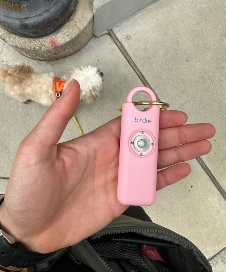 birdie alarm amazon finds
