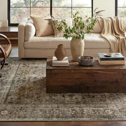 amazon prime day loloi rugs