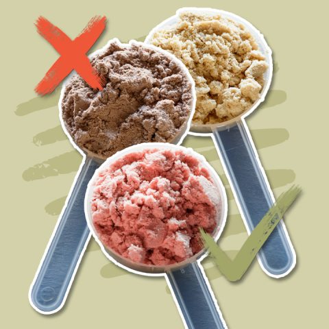 how to choose a protein powder