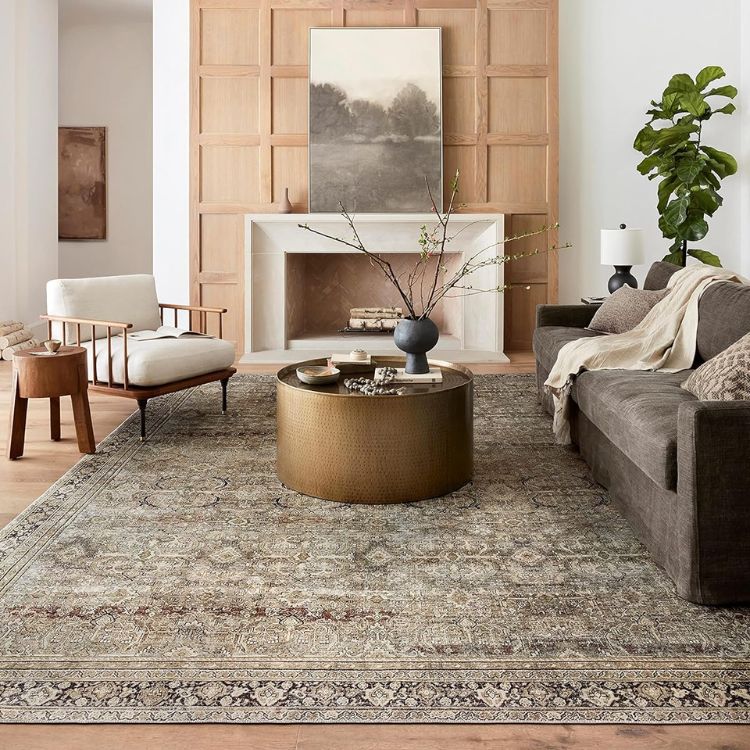 Loloi Olive Charcoal Area Rug
