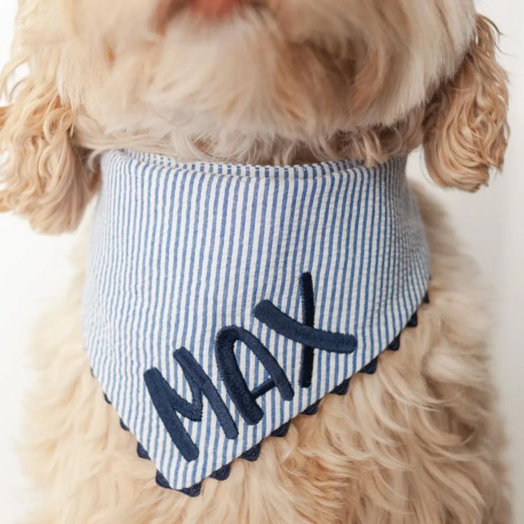 Custom Dog Bandana