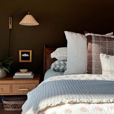 plug-in wall sconces