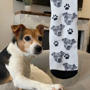Custom Pet Socks