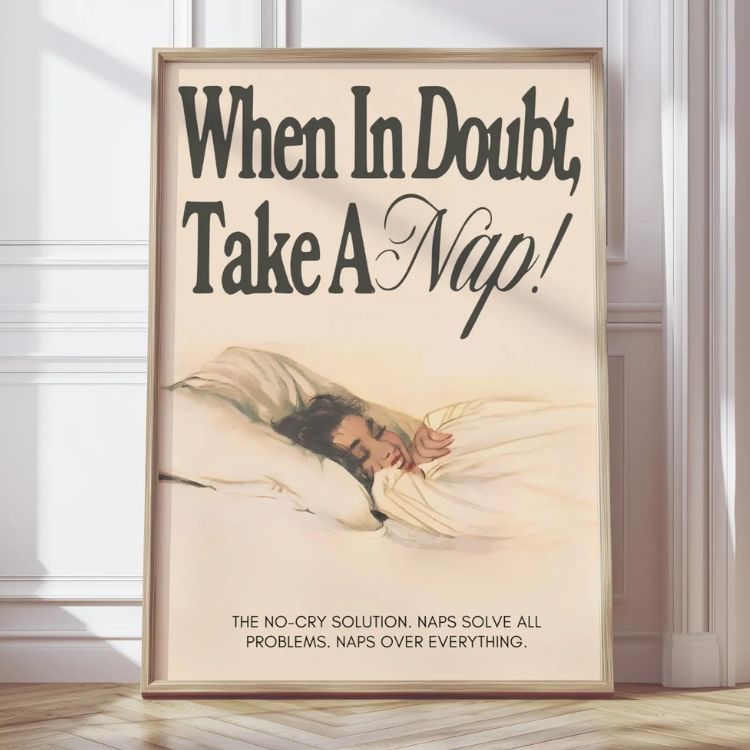When In Doubt Take A Nap Poster