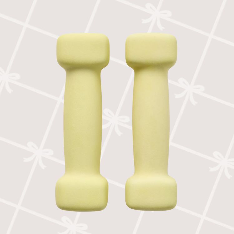 Gaiam Dumbells