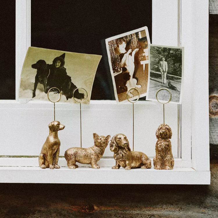 Pet Photo Holder