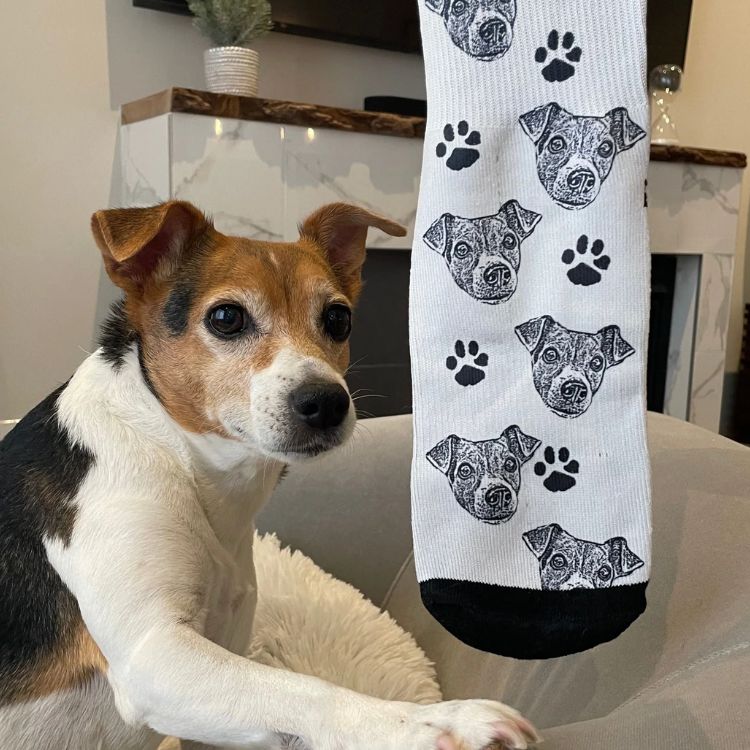 Custom Pet Socks