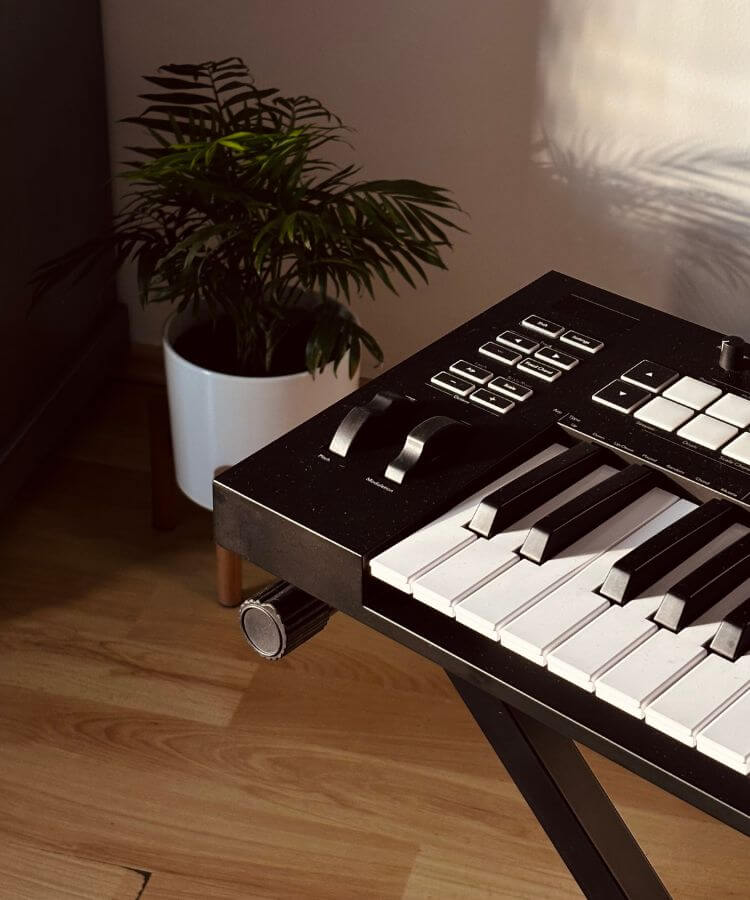 playing an instrument indoor hobby