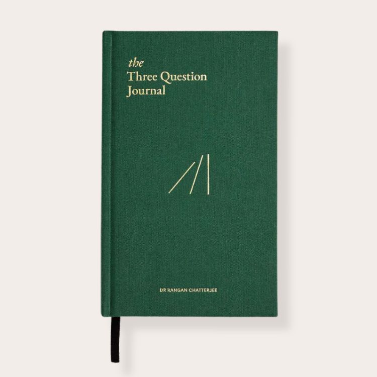 The Three-Question Journal