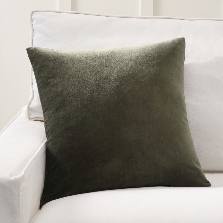 Velvet Pillow