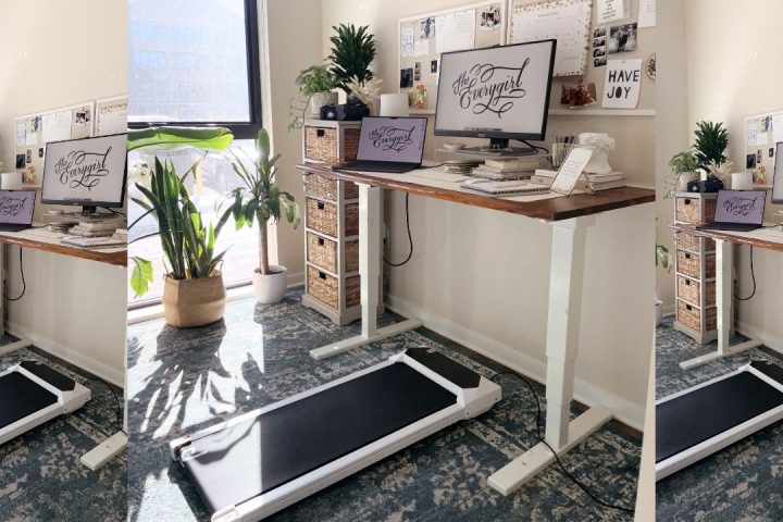 flexispot