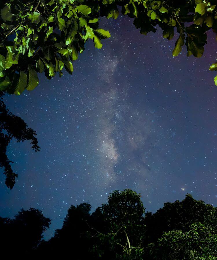 stargazing things to do this summer