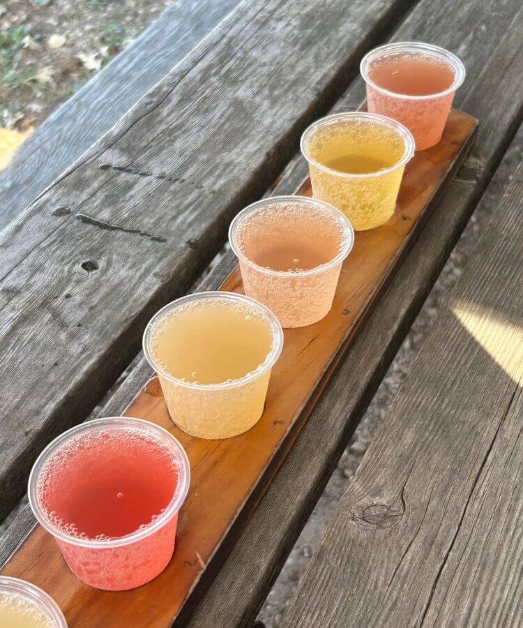 beer tasting father's day activities