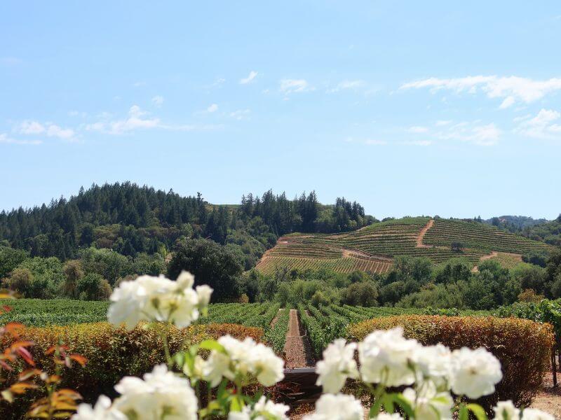 napa valley, california