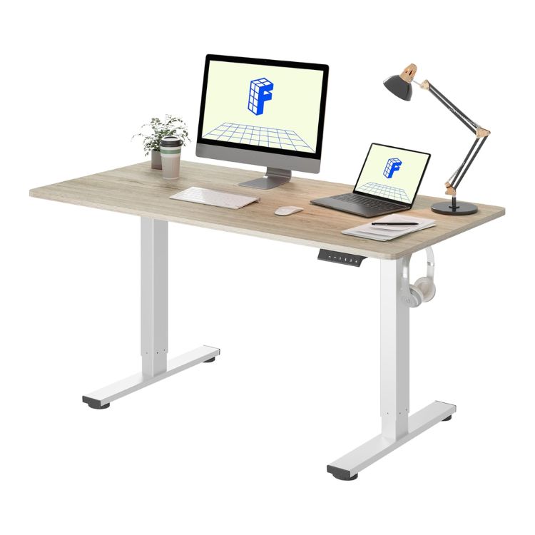 FLEXISPOT Standing Desk