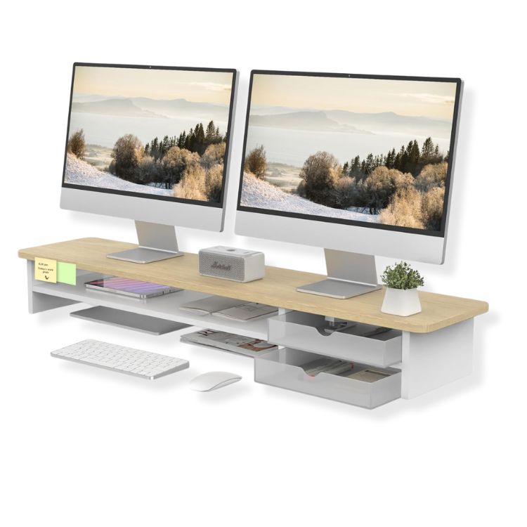 Double Monitor Riser