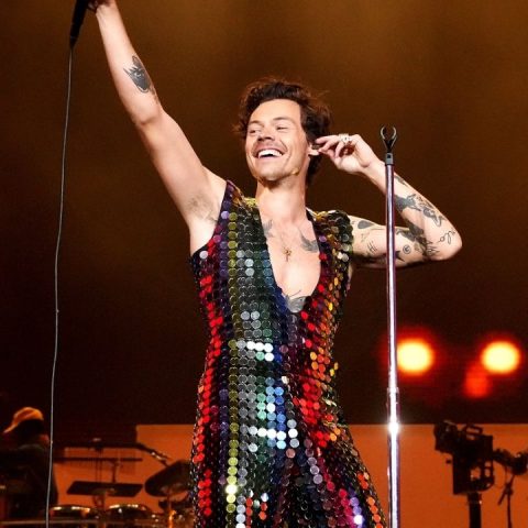 harry styles vibrator