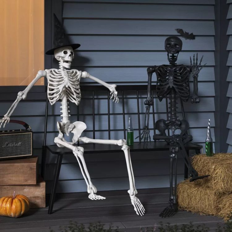 60" Poseable Lifesize Skeleton