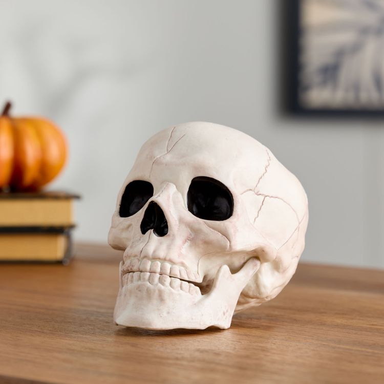 Glow In The Dark Skull Decor