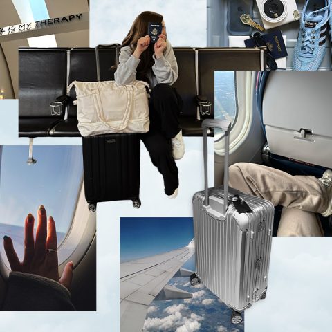 airplane seat organizer review