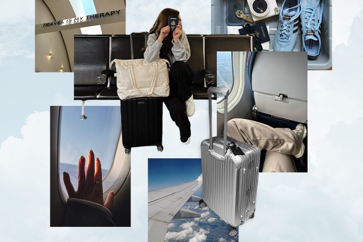 airplane seat organizer review