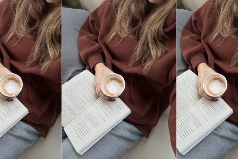 cozy books