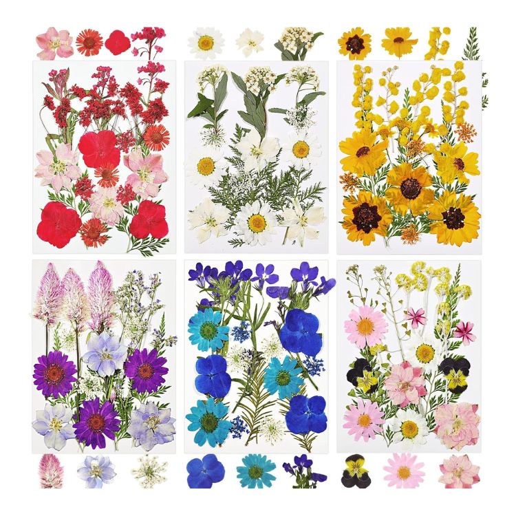 Dried Flowers and Leaves