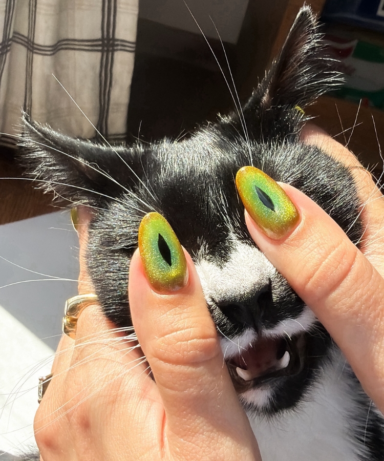 halloween nail ideas cat eye manicure