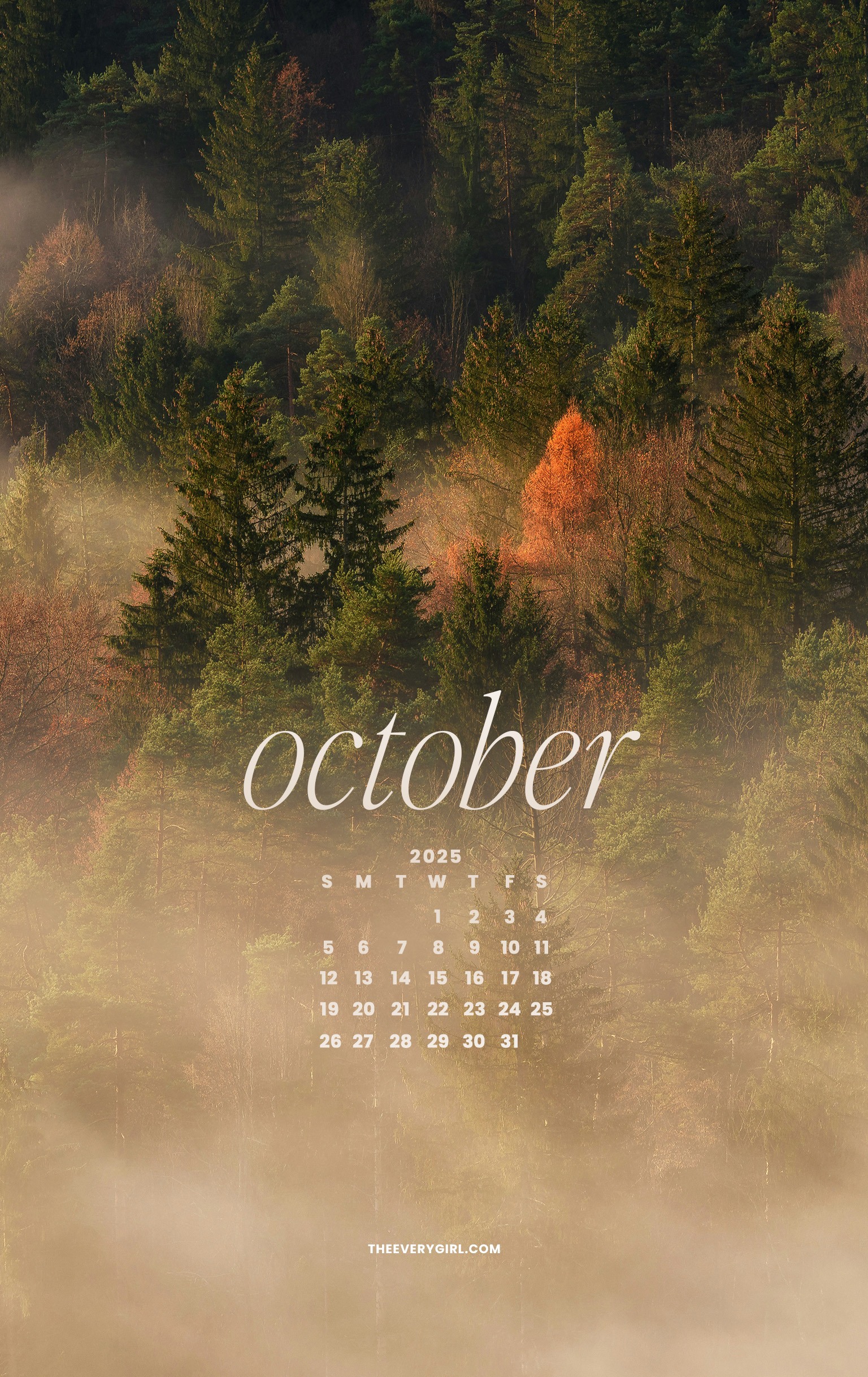 October 2025 Tech Backgrounds: Free, Downloadable Wallpapers!