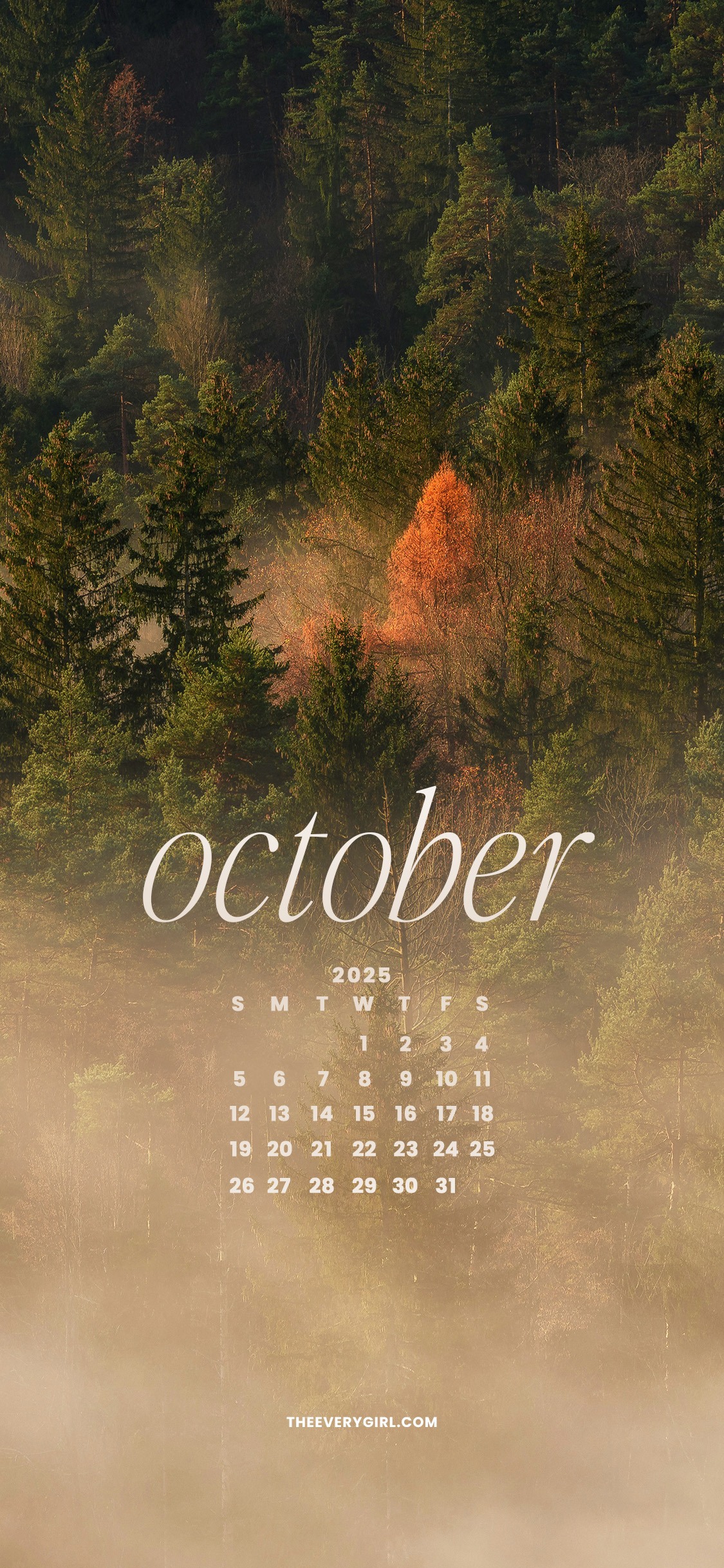 October 2025 Tech Backgrounds: Free, Downloadable Wallpapers!