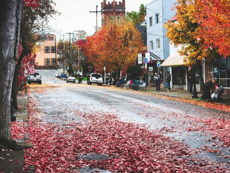 towns like stars hollow