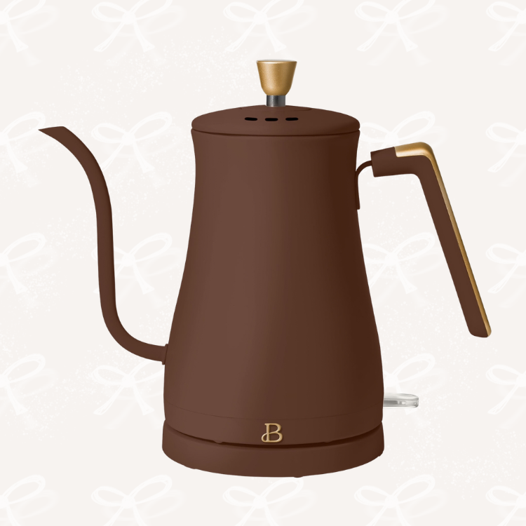 Electric Gooseneck Kettle