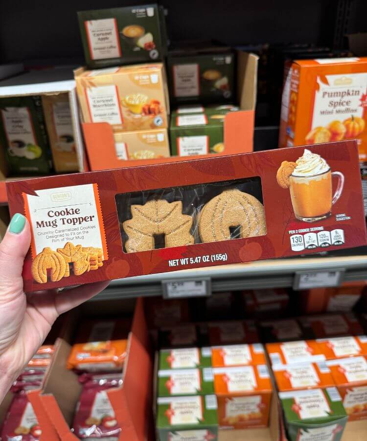 aldi fall items mug topper