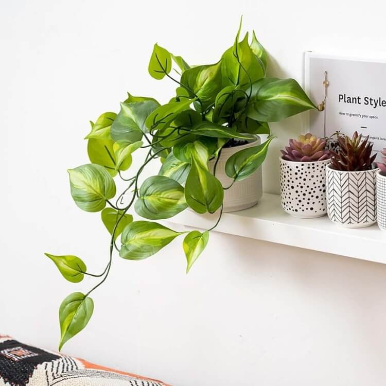 Faux Pothos Plant