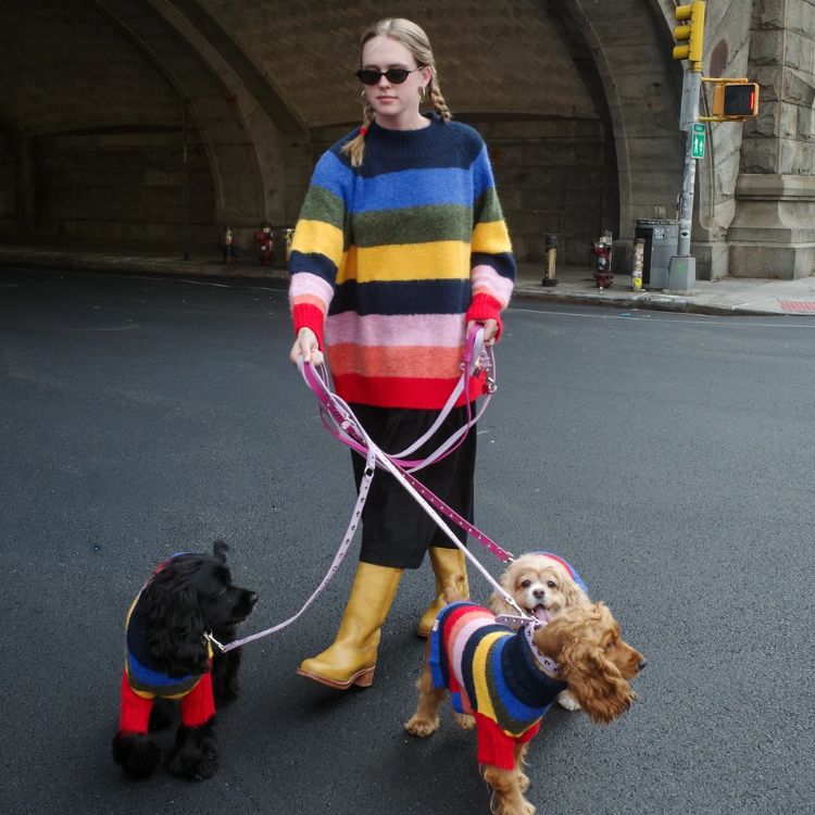 Striped Dog Sweater