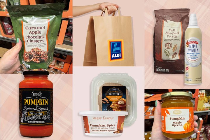 aldi fall items