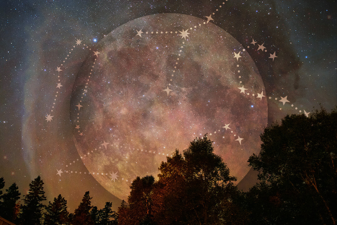 How The October Supermoon Will Affect Your Zodiac Sign